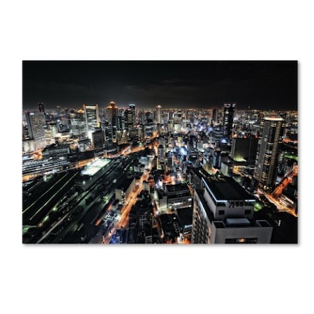 Hiroaki Koga 'Osaka Night View' Canvas Art,30x47